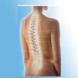 脊柱/姿态扫描仪	